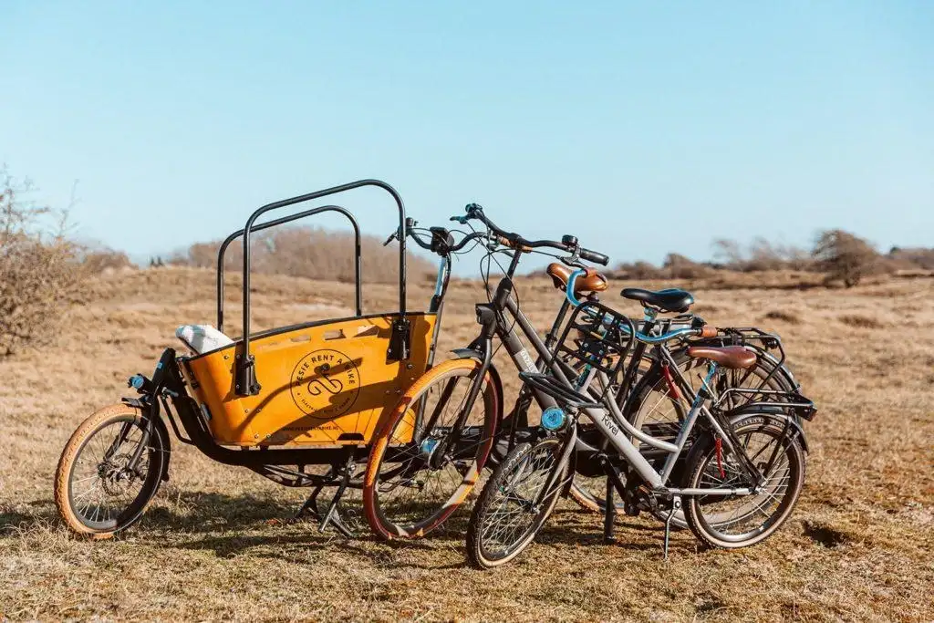 Fietsen van Pesie Rent a Biek in de duinen